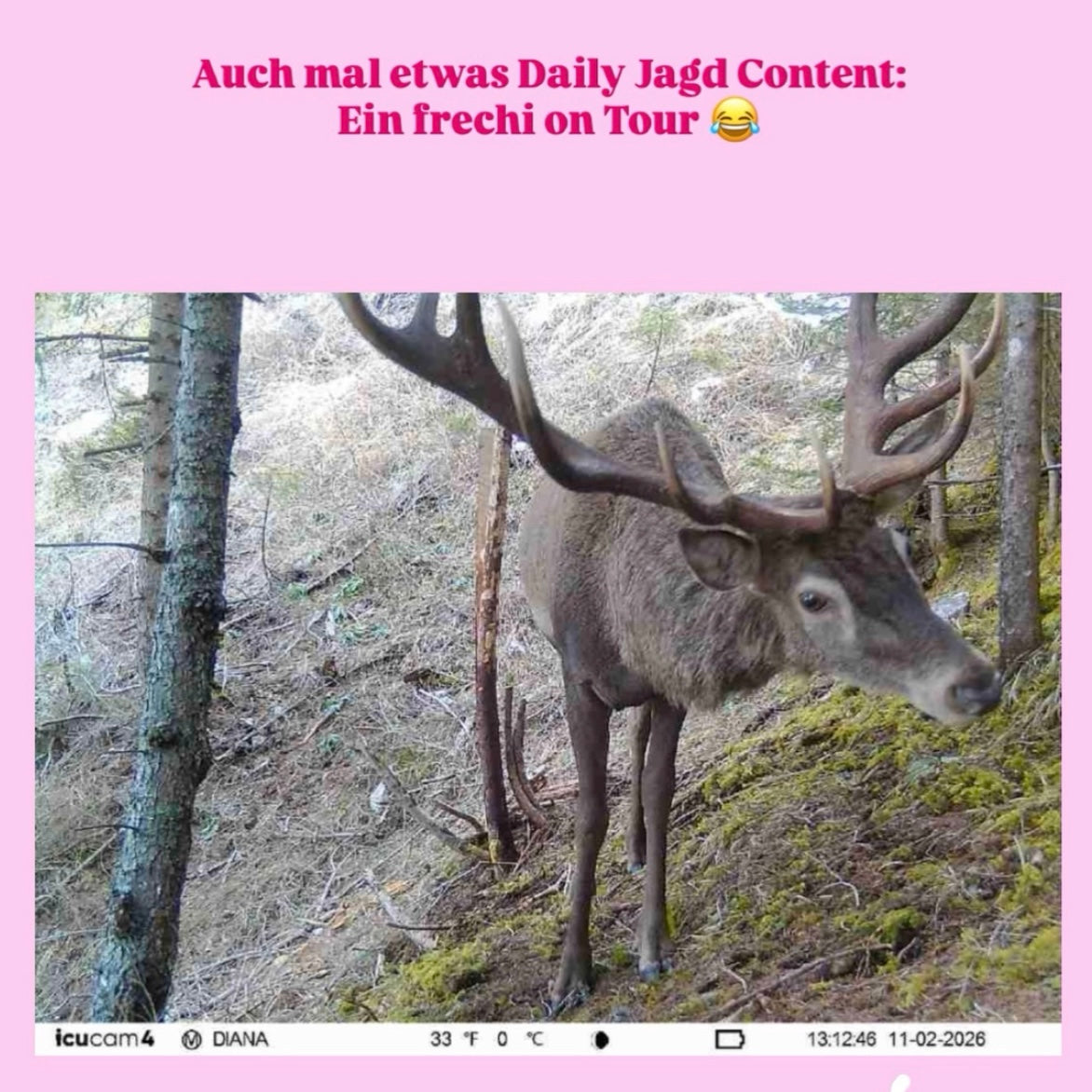 DEIN erster Abschuss verewigt